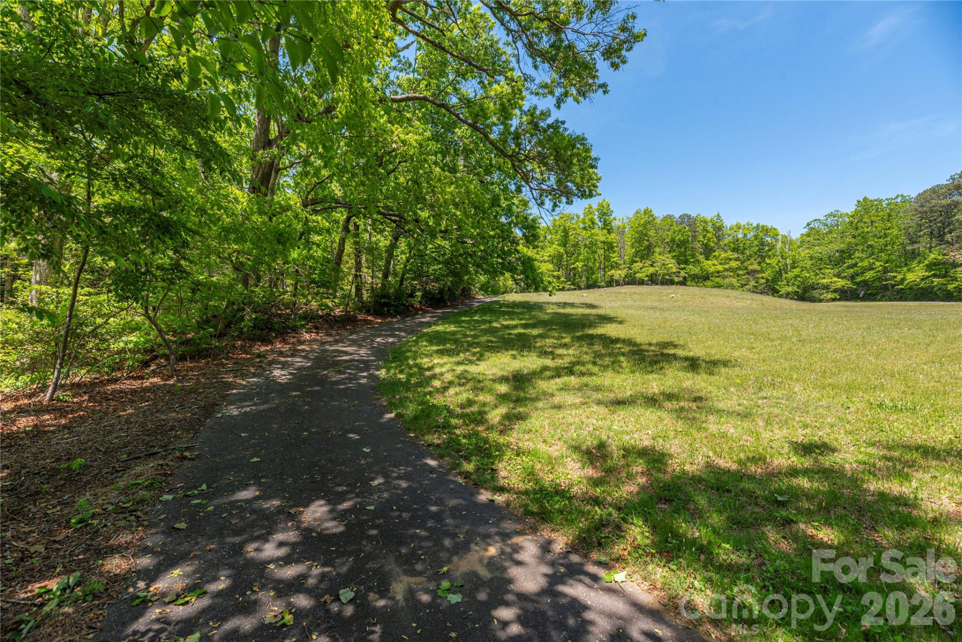 35 Grey Rock Valley - Photo 39