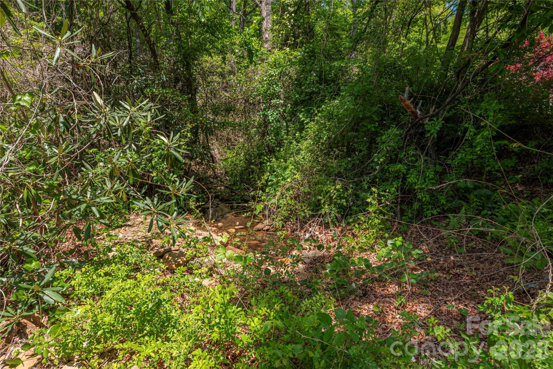 35 Grey Rock Valley - Photo 42