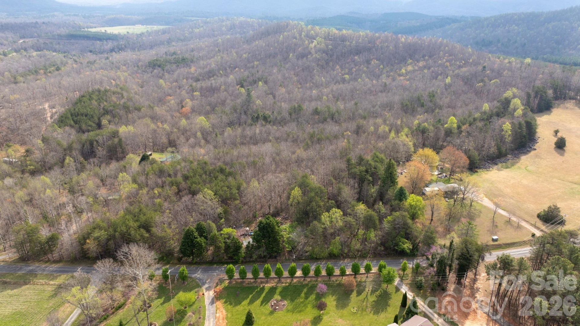 TBD Joe Branch Road - Photo 2