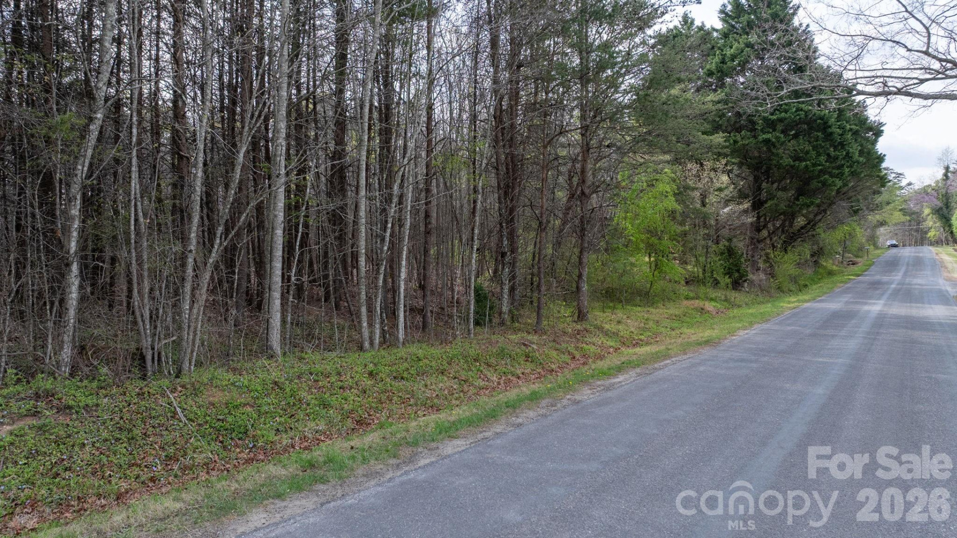 TBD Joe Branch Road - Photo 11