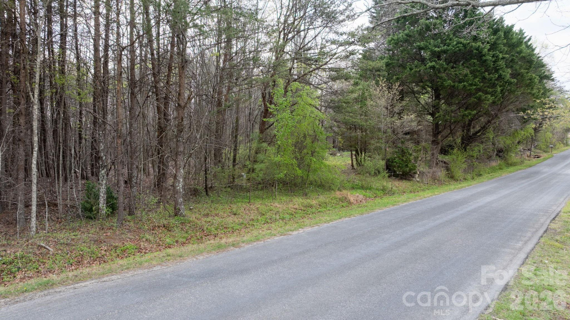 TBD Joe Branch Road - Photo 12