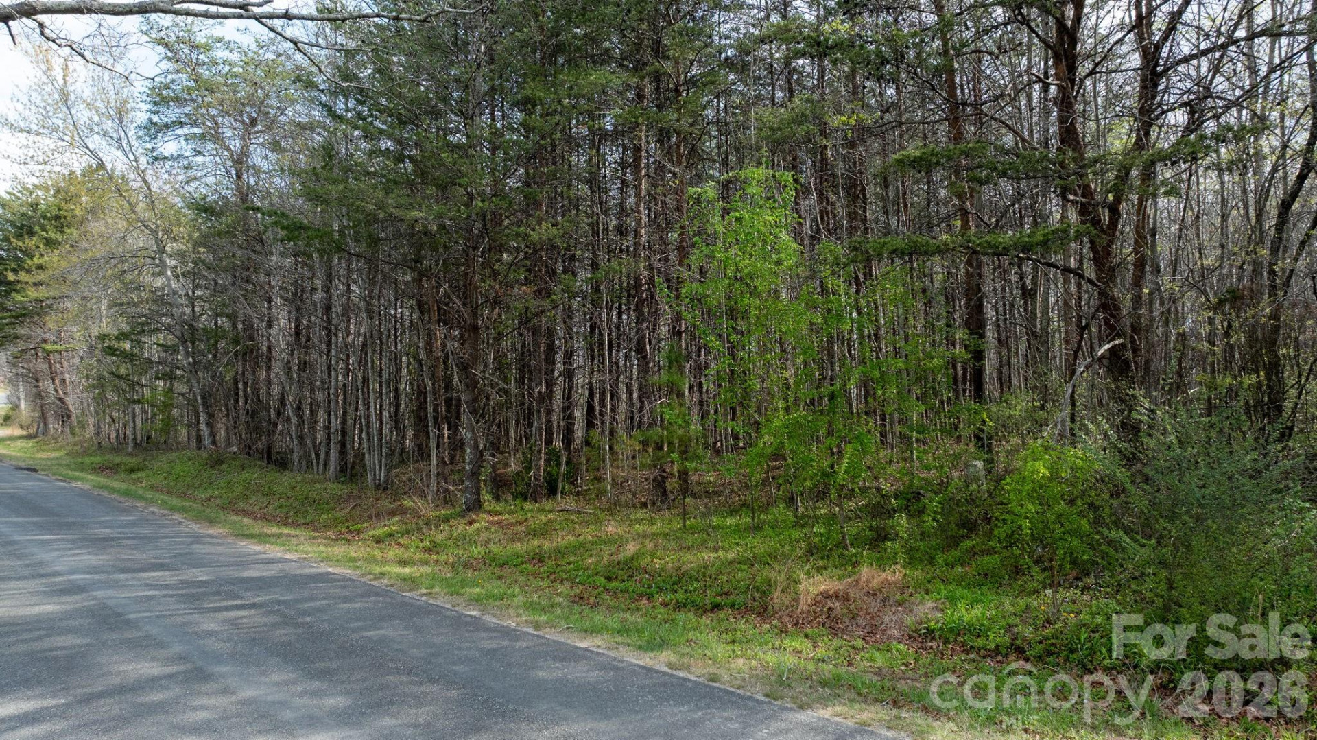 TBD Joe Branch Road - Photo 13