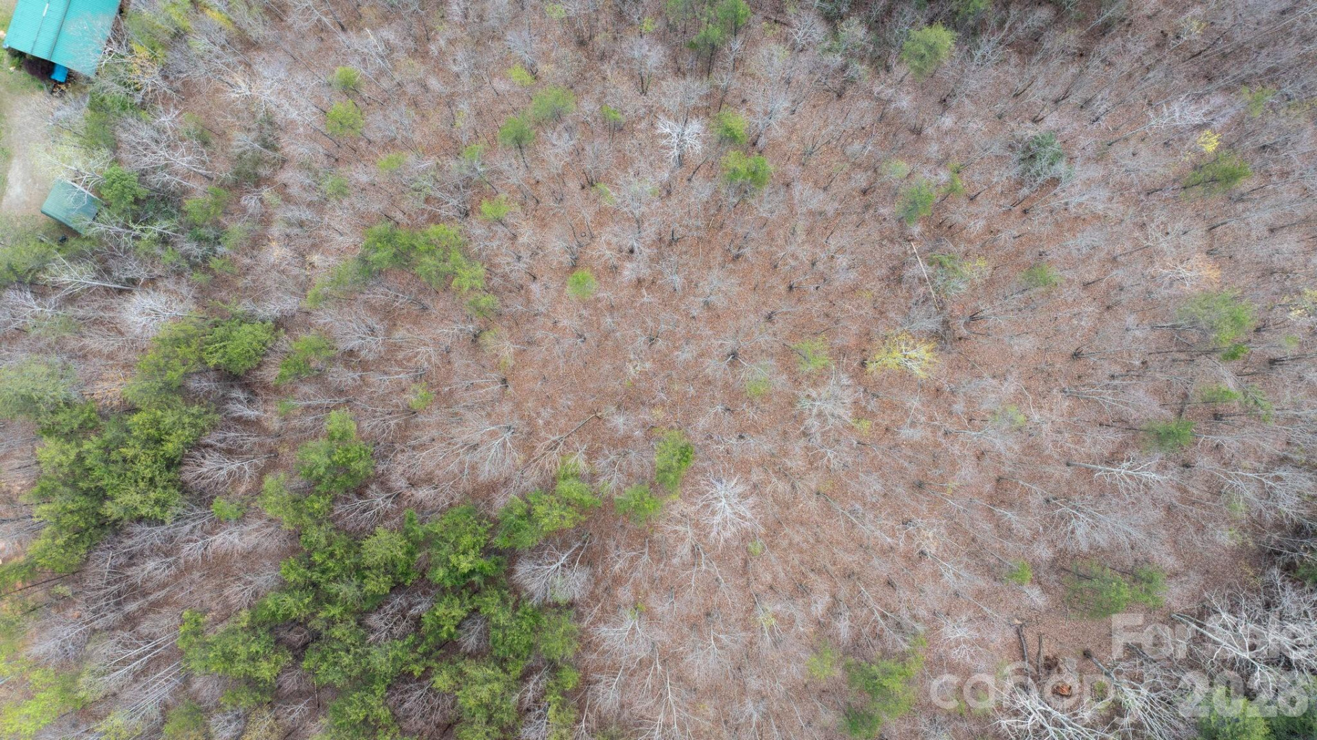 TBD Joe Branch Road - Photo 19