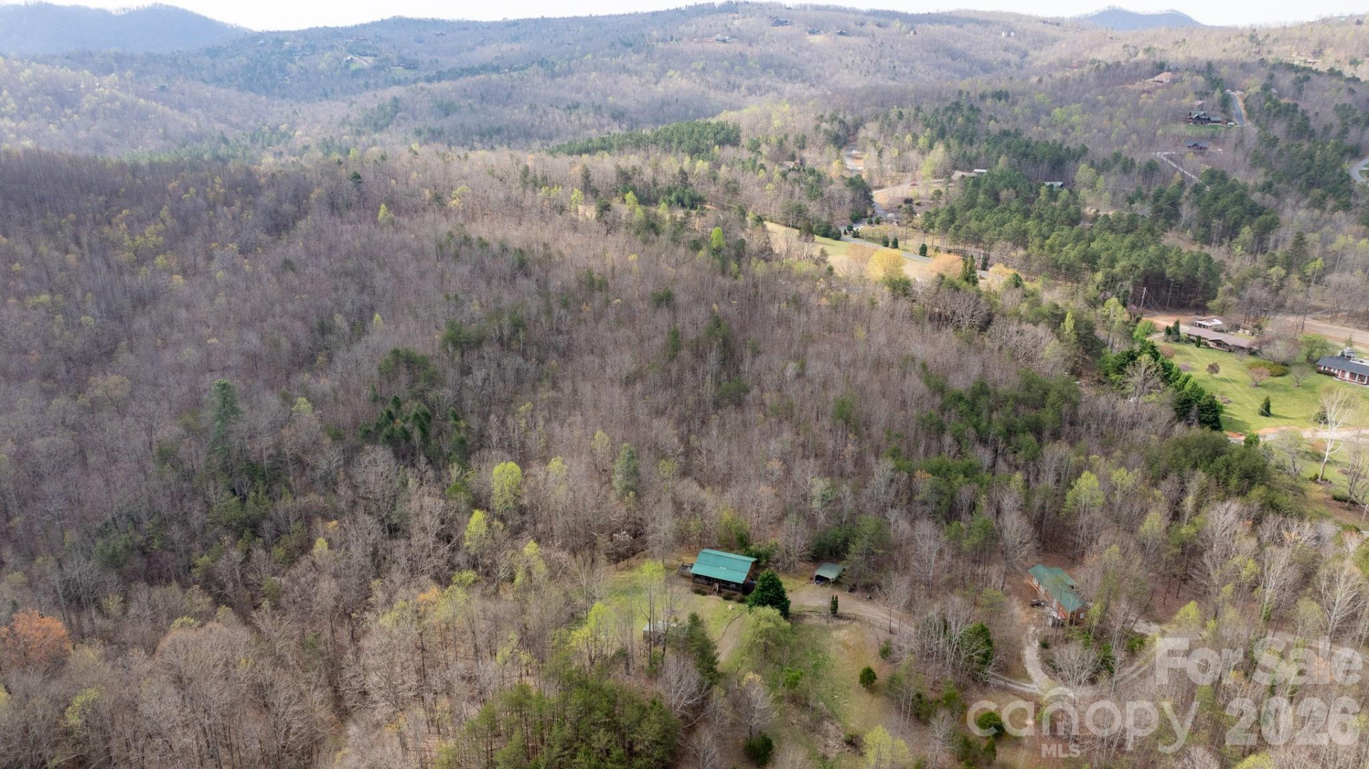 TBD Joe Branch Road - Photo 4