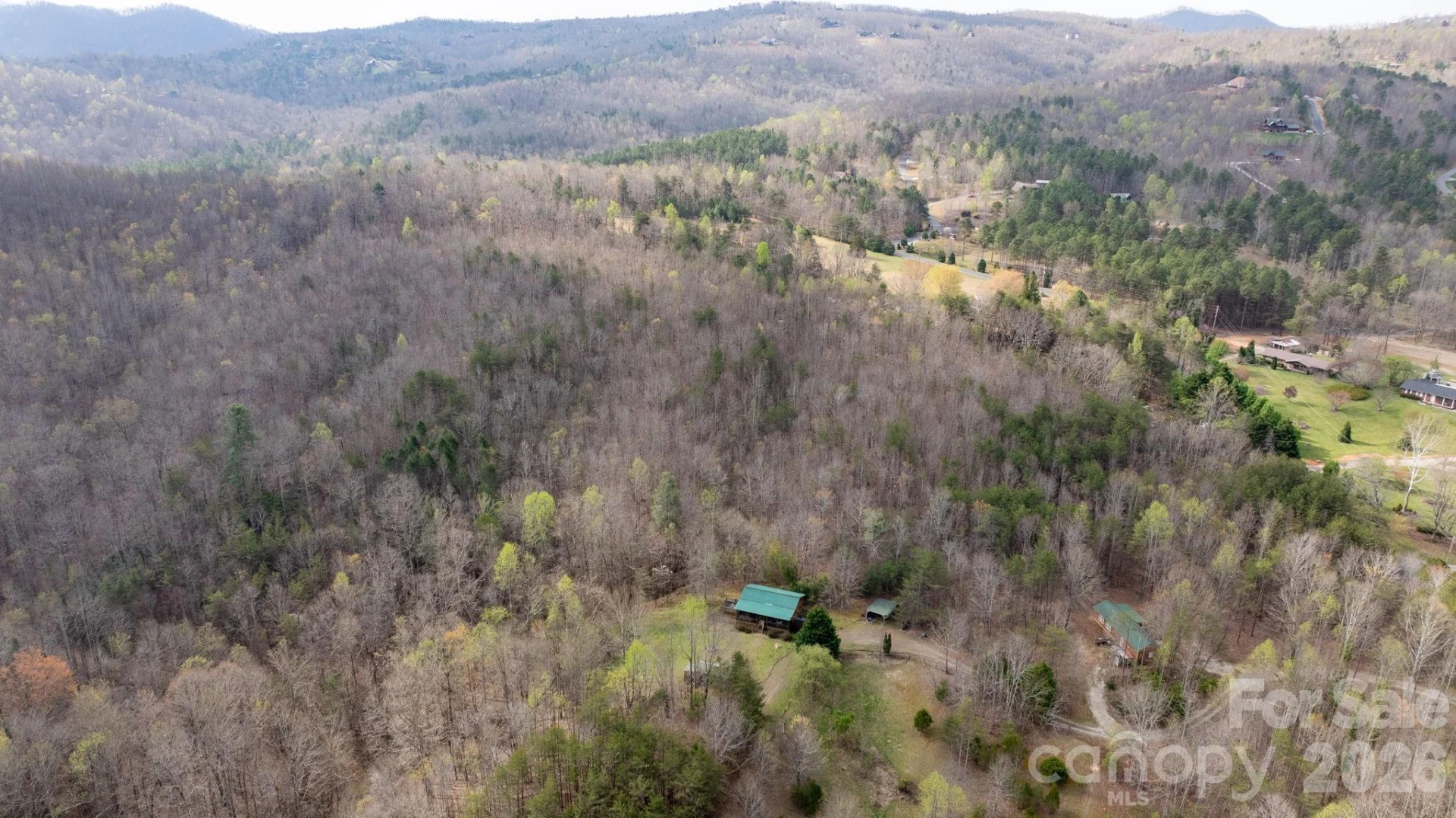 TBD Joe Branch Road - Photo 4