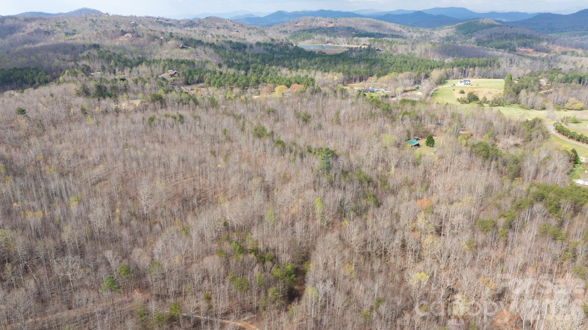 TBD Joe Branch Road - Photo 6