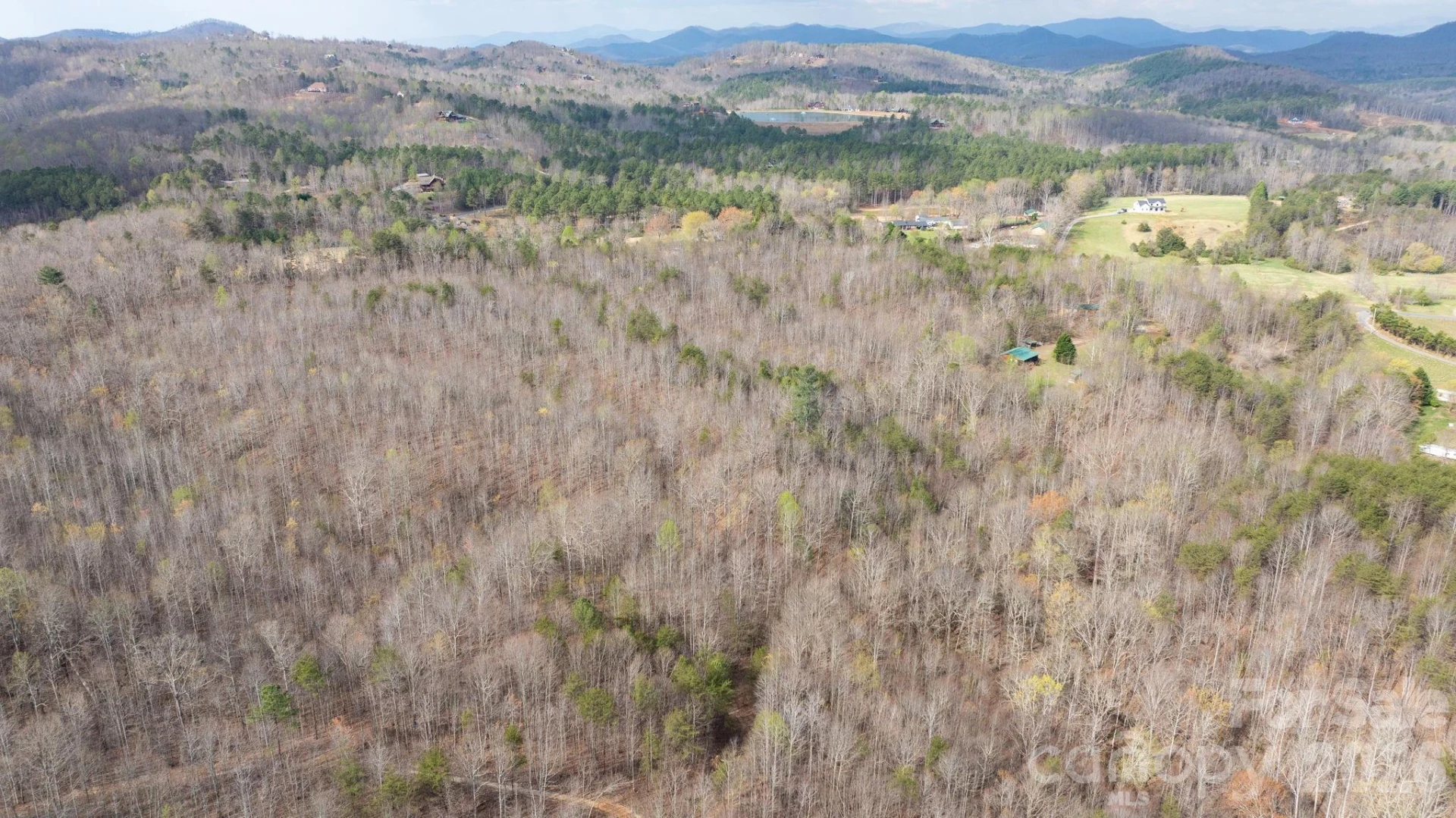 TBD Joe Branch Road - Photo 6