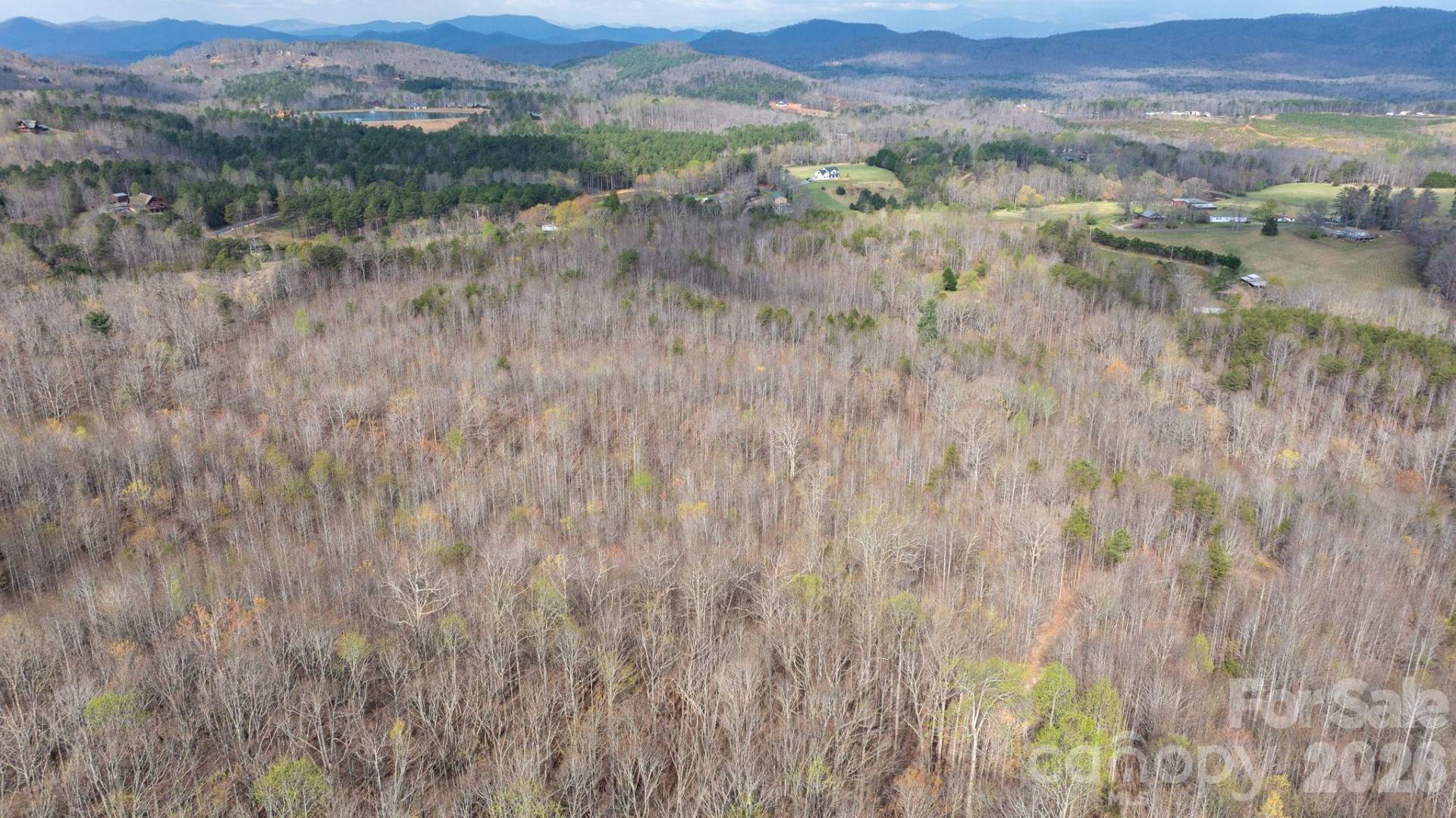 TBD Joe Branch Road - Photo 8