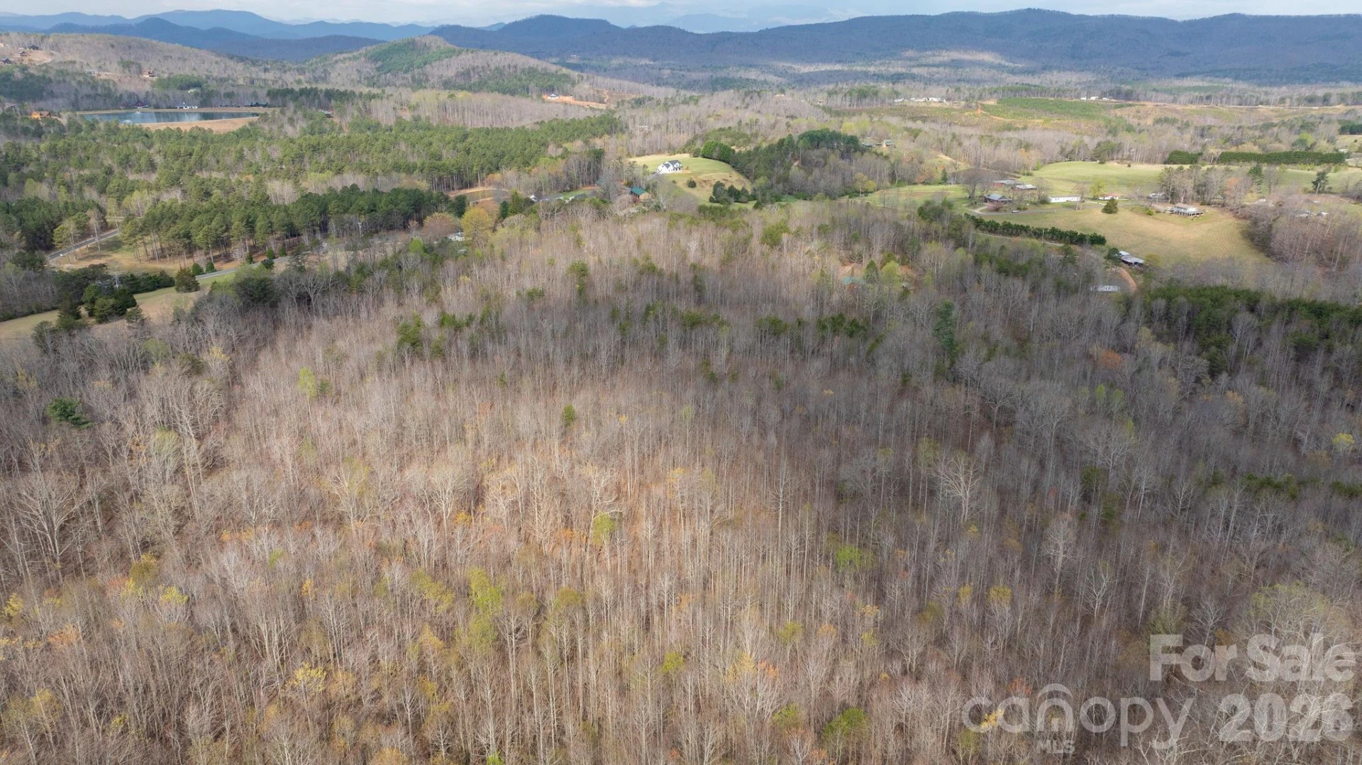 TBD Joe Branch Road - Photo 9