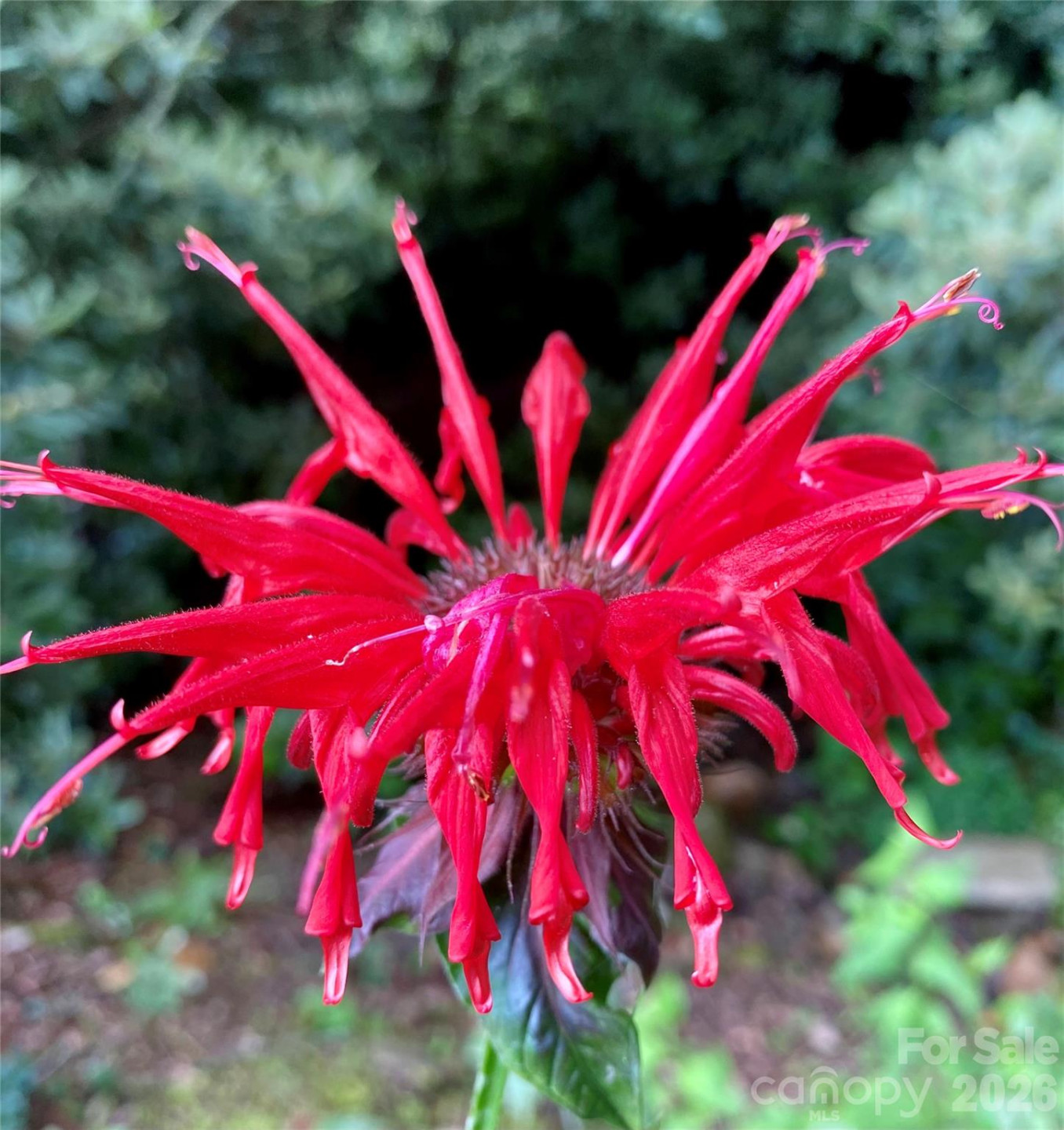 33 Robinson Creek Road - Photo 30