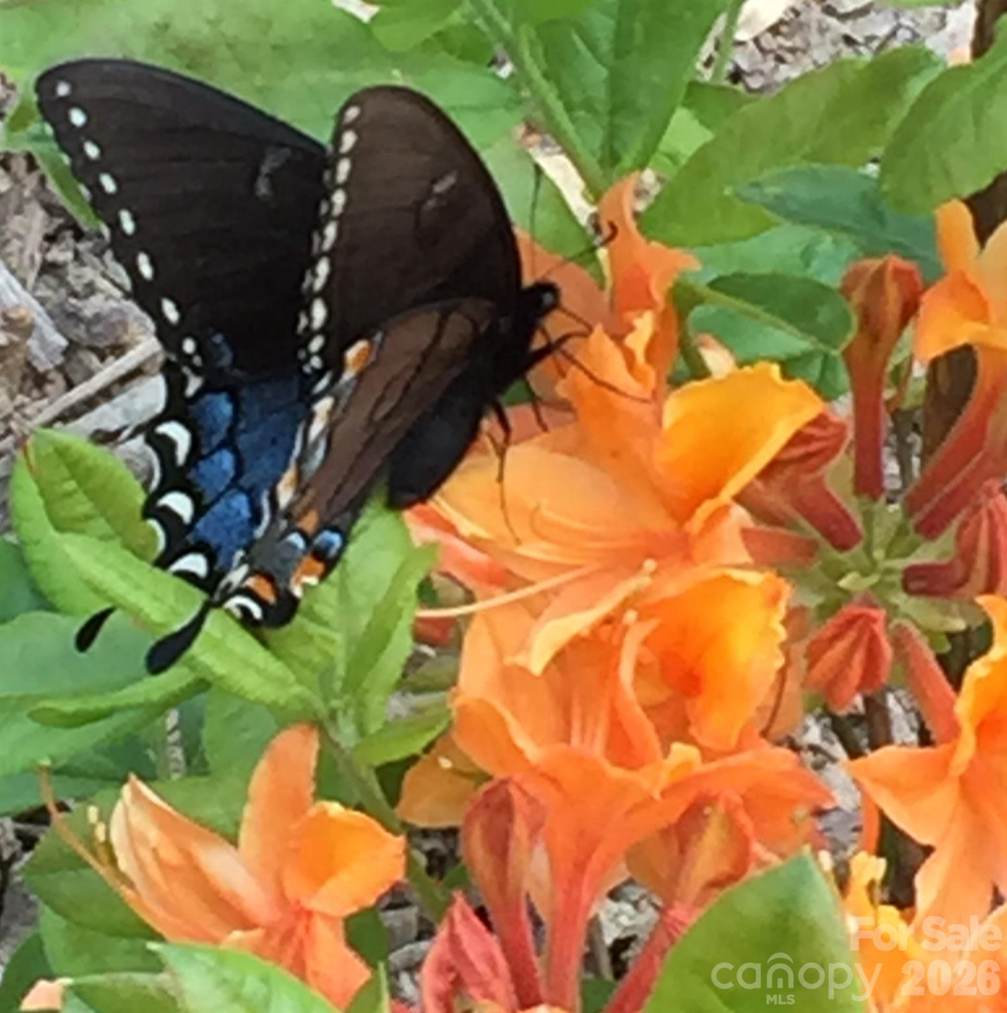 33 Robinson Creek Road - Photo 32