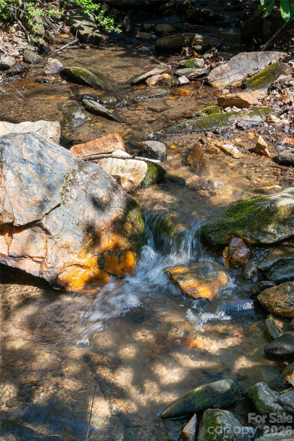 33 Robinson Creek Road - Photo 34