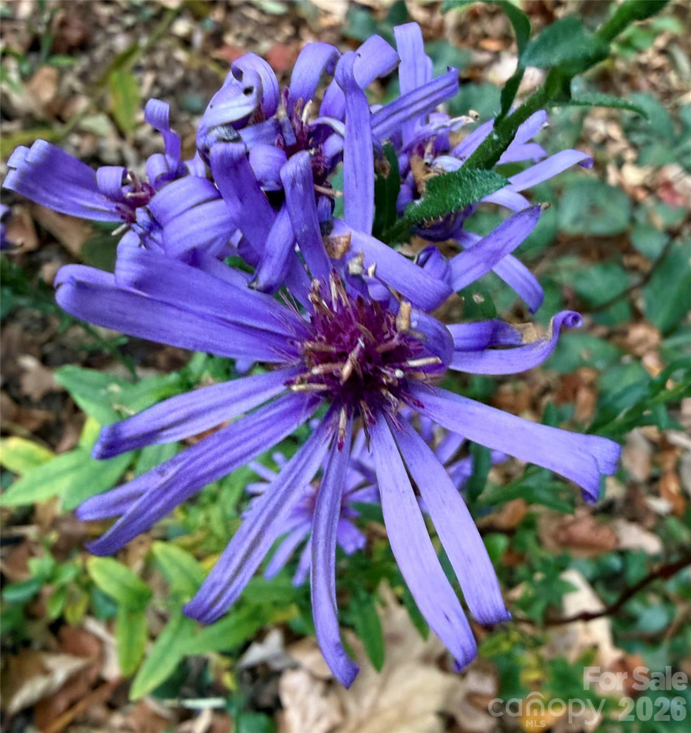 33 Robinson Creek Road - Photo 35