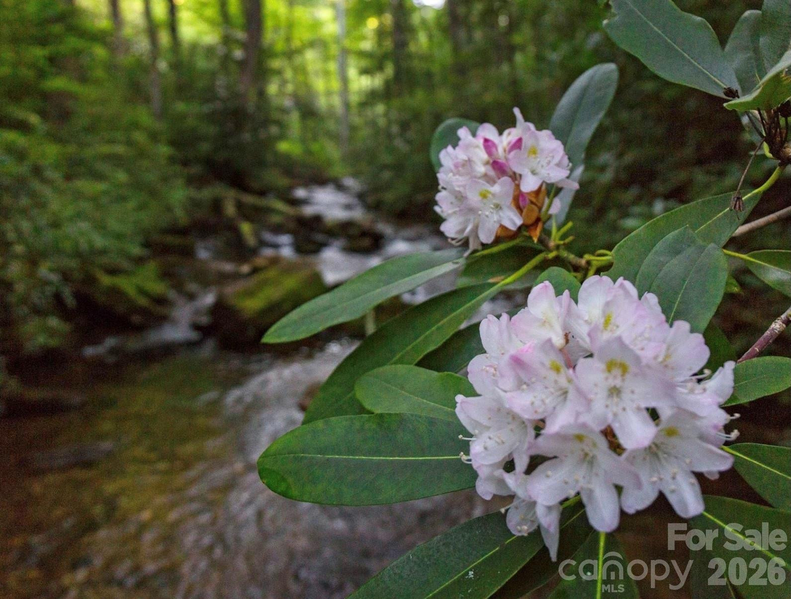 33 Robinson Creek Road - Photo 41