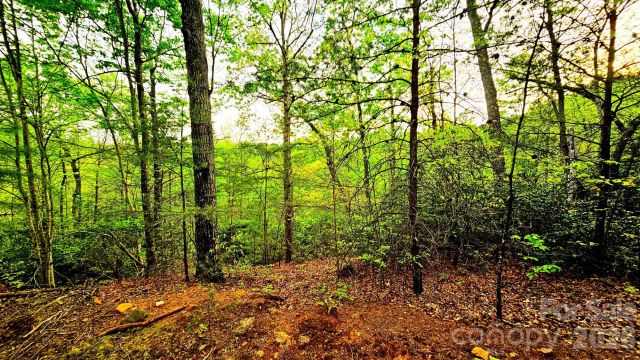Lot 59 Bear Cliff Way, Lake Lure, NC, 28746