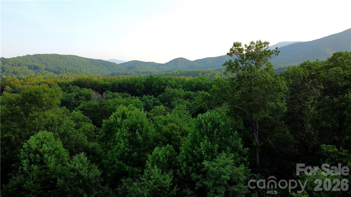 Lot 59 Bear Cliff Way - Photo 13
