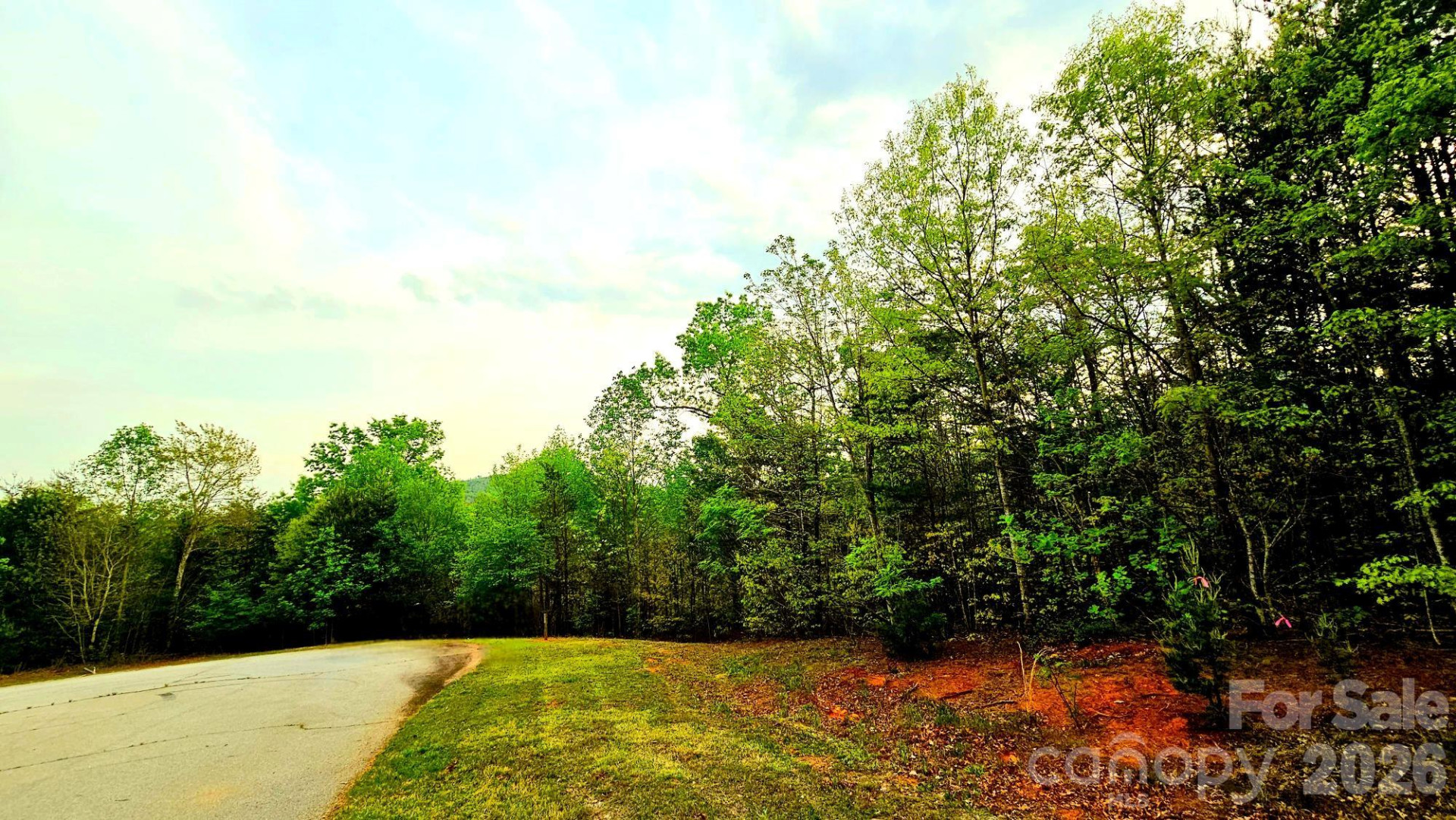 Lot 59 Bear Cliff Way - Photo 14