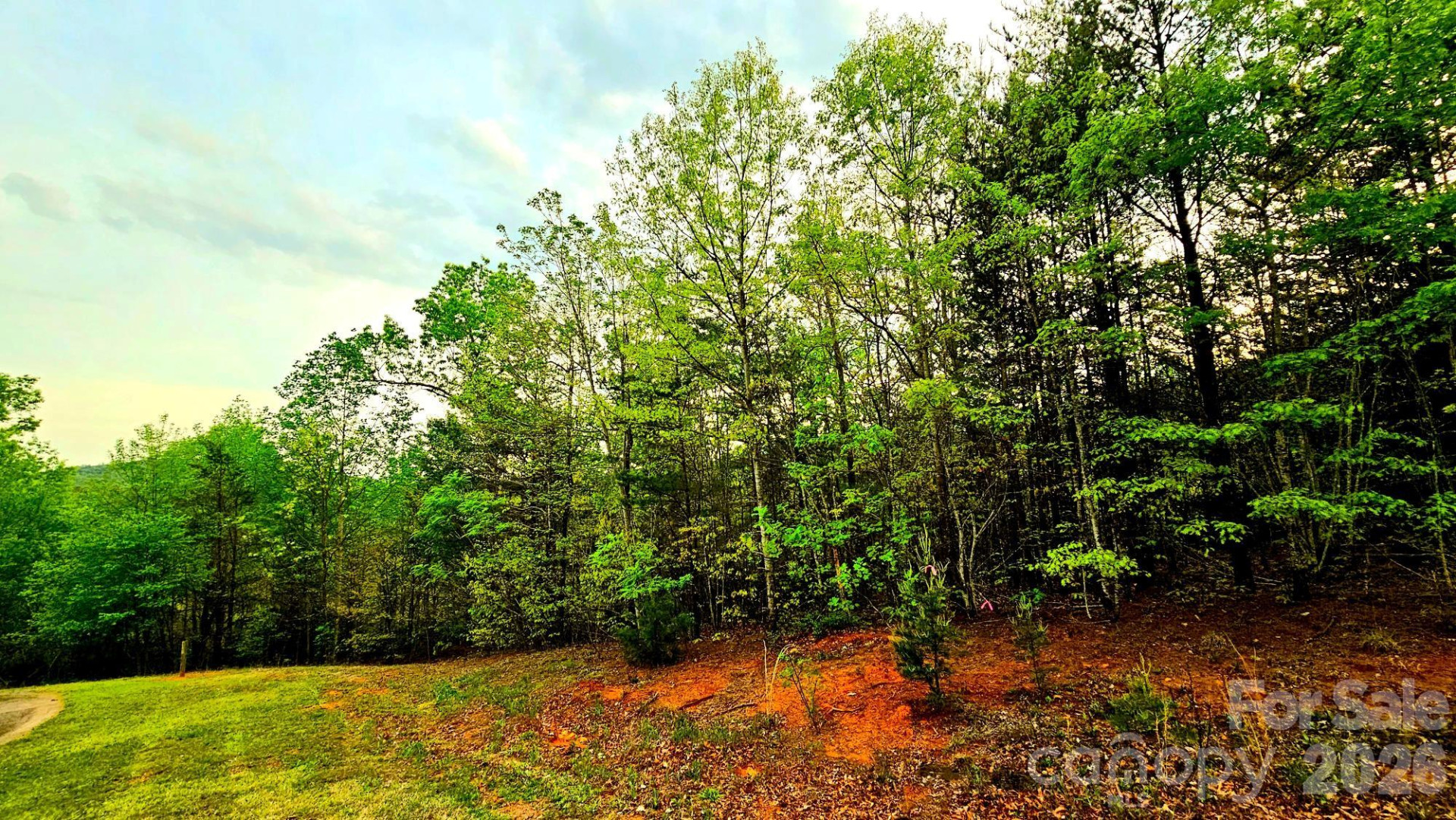 Lot 59 Bear Cliff Way - Photo 15