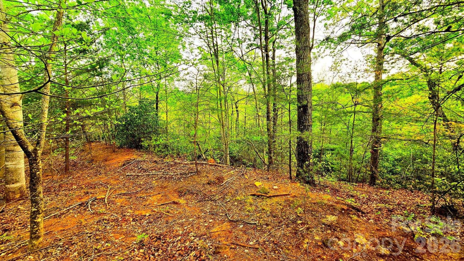 Lot 59 Bear Cliff Way - Photo 16