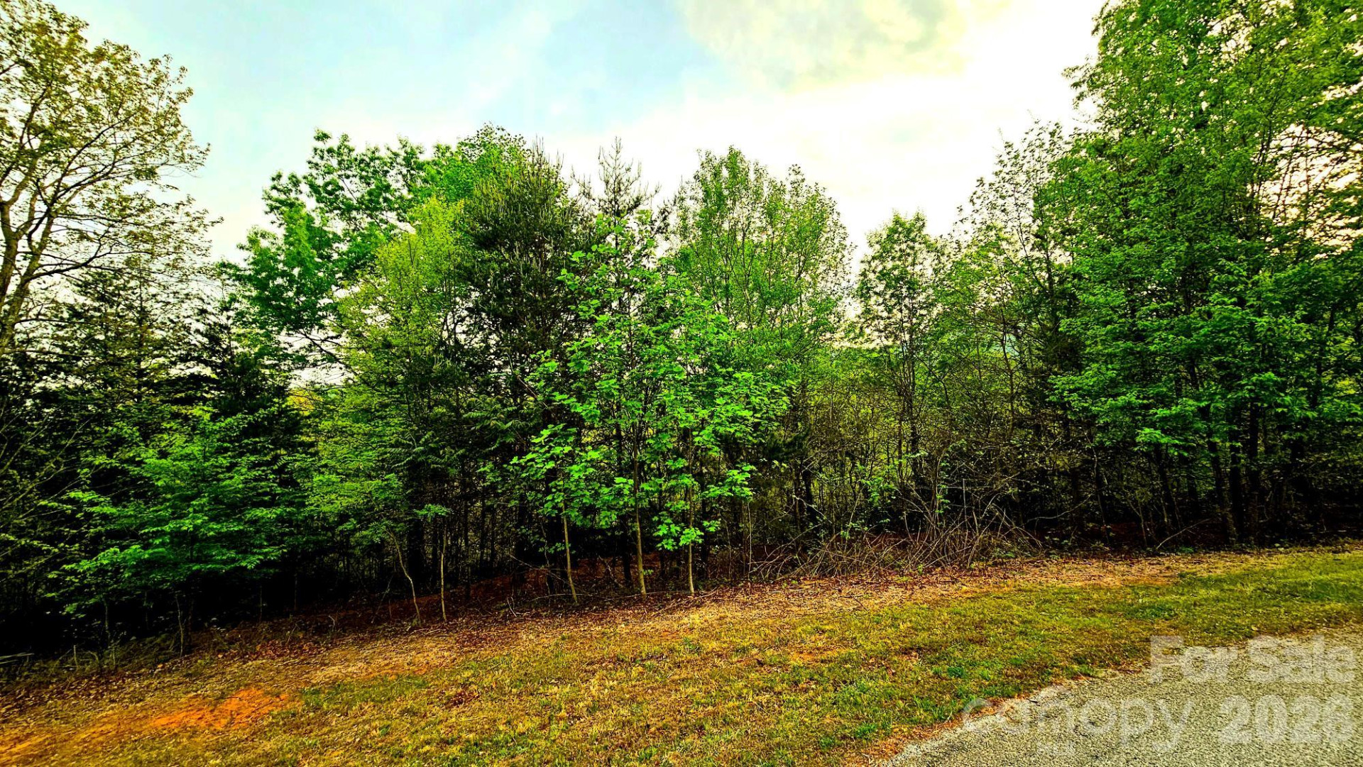 Lot 59 Bear Cliff Way - Photo 17