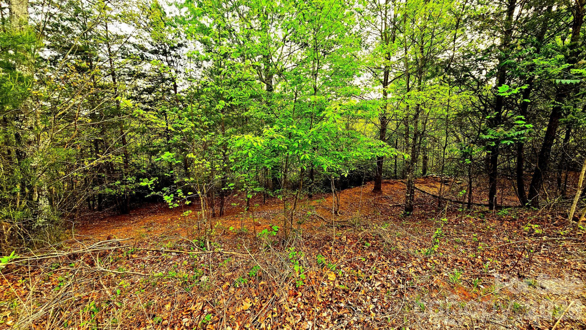 Lot 59 Bear Cliff Way - Photo 18