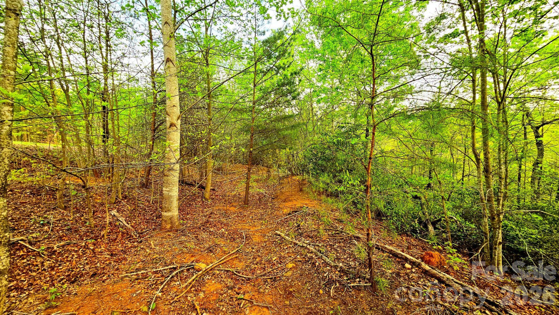 Lot 59 Bear Cliff Way - Photo 20