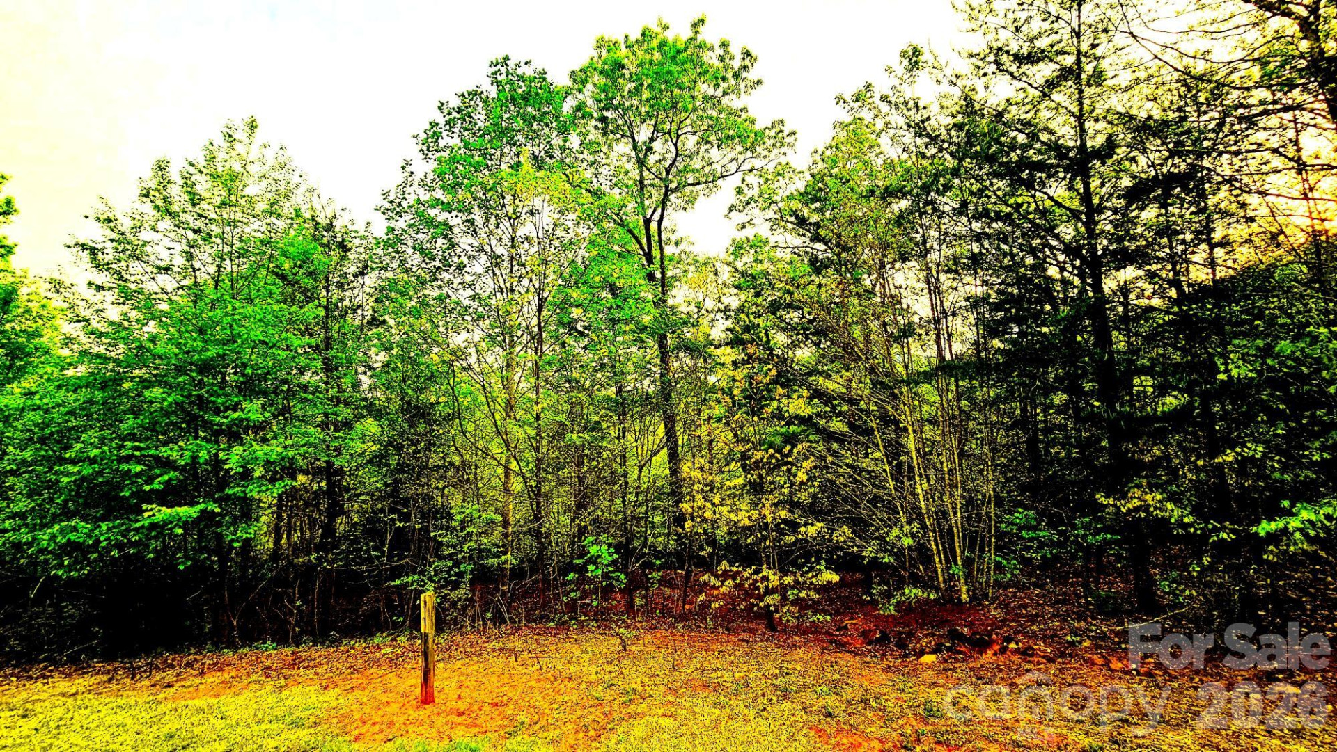 Lot 59 Bear Cliff Way - Photo 21
