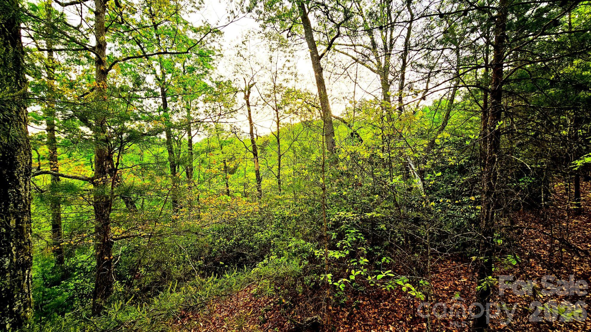 Lot 59 Bear Cliff Way - Photo 22