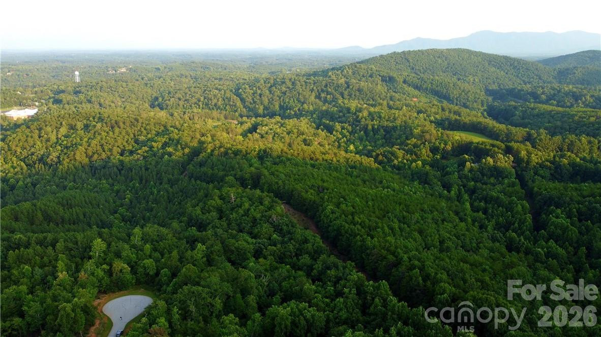 Lot 59 Bear Cliff Way - Photo 23