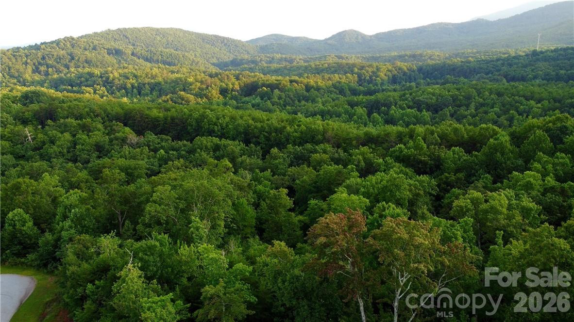 Lot 59 Bear Cliff Way - Photo 24