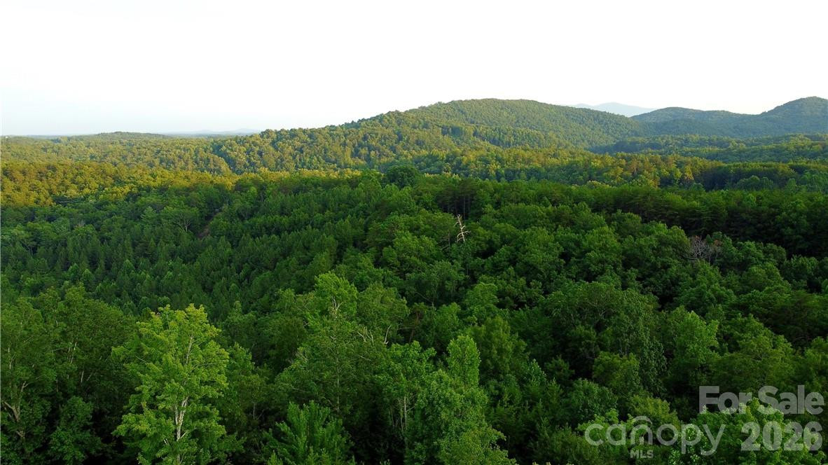 Lot 59 Bear Cliff Way - Photo 25