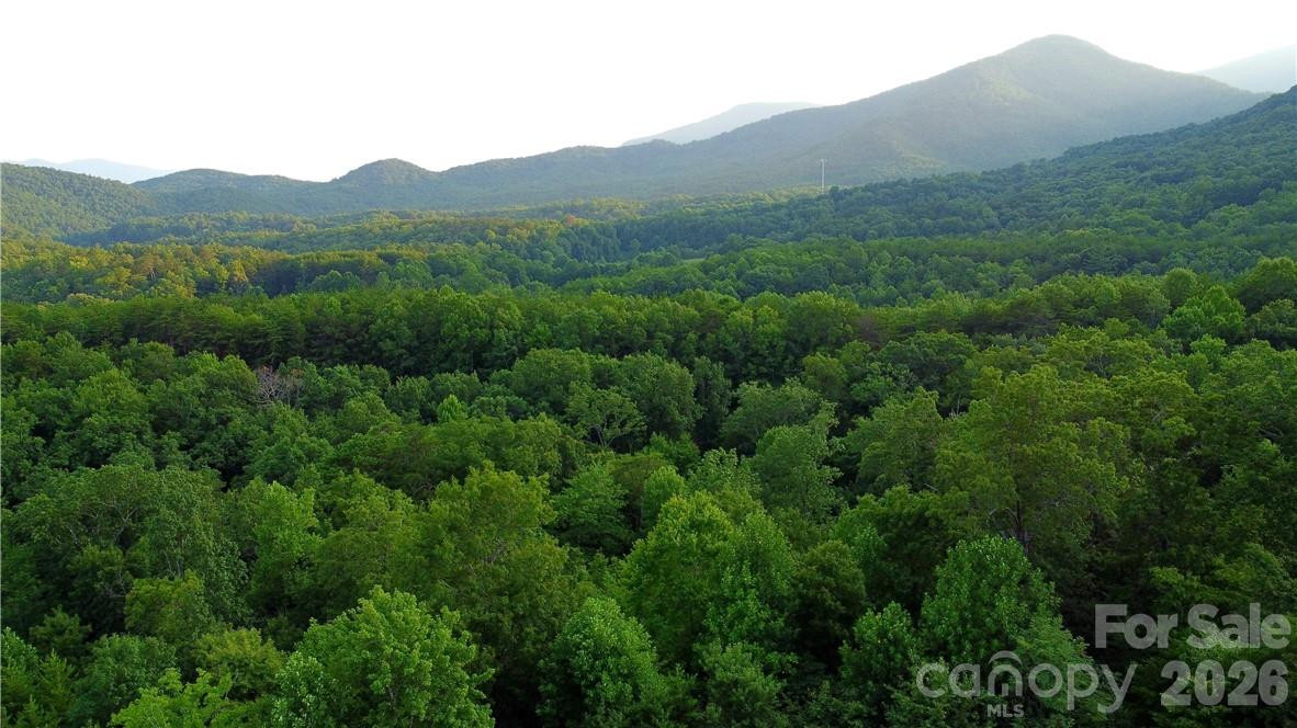 Lot 59 Bear Cliff Way - Photo 27