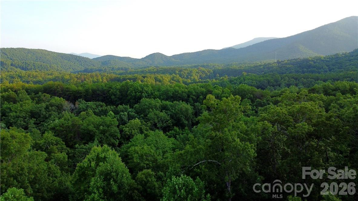 Lot 59 Bear Cliff Way - Photo 28