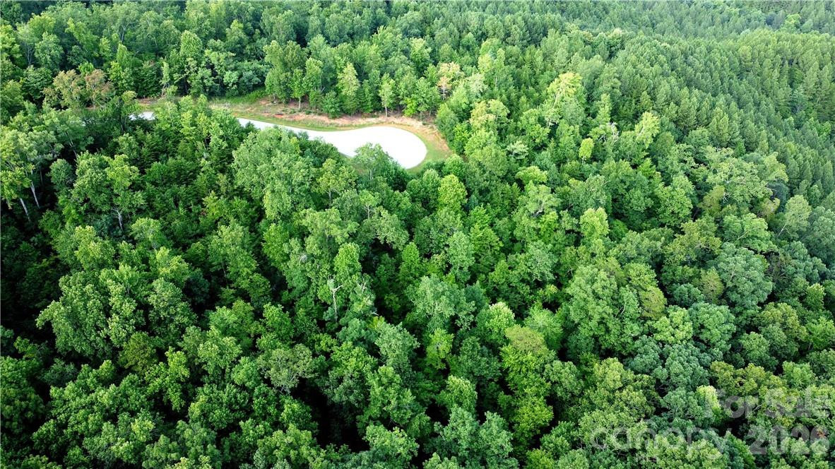 Lot 59 Bear Cliff Way - Photo 30