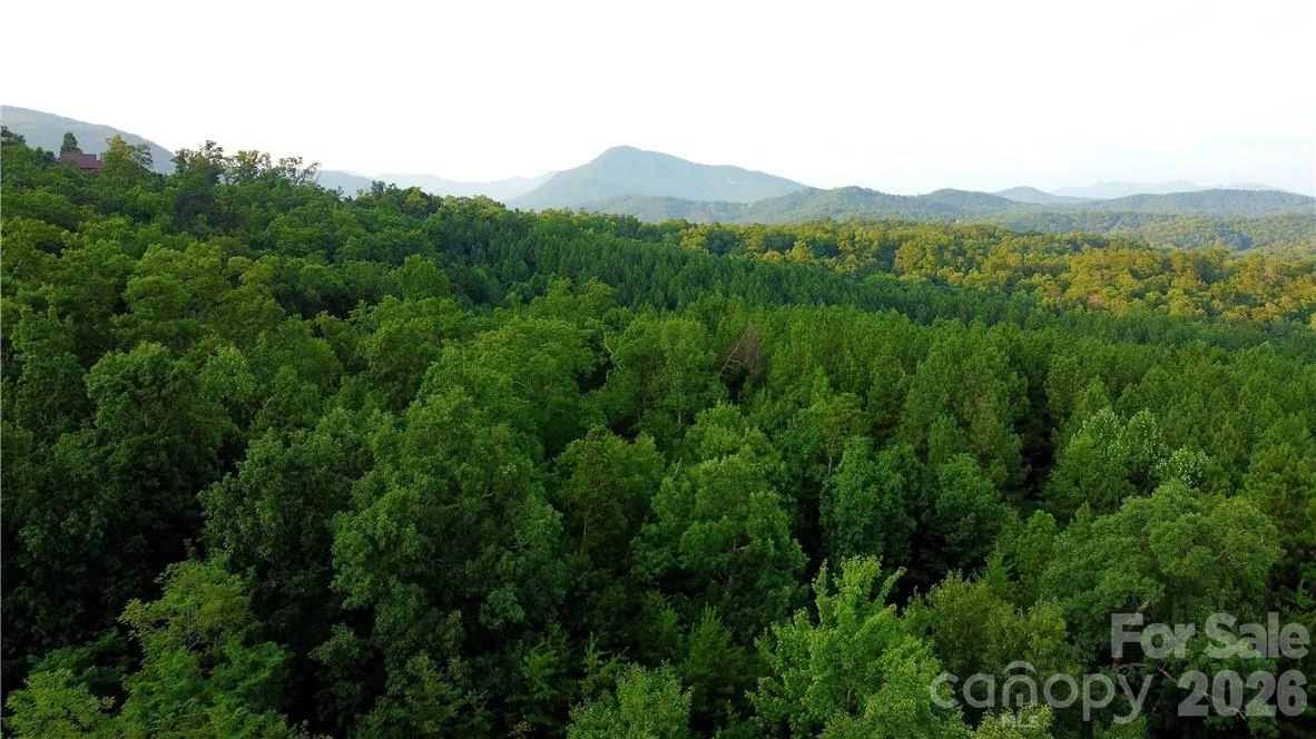 Lot 59 Bear Cliff Way - Photo 31