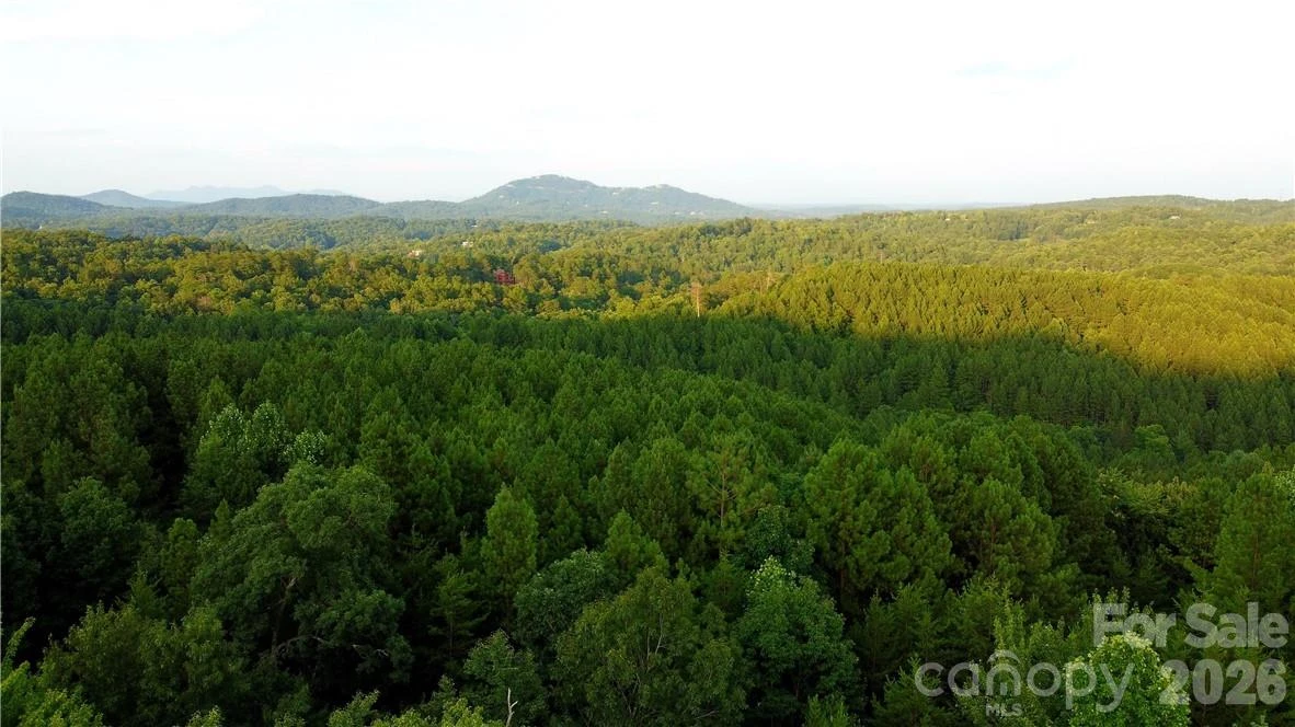 Lot 59 Bear Cliff Way - Photo 32
