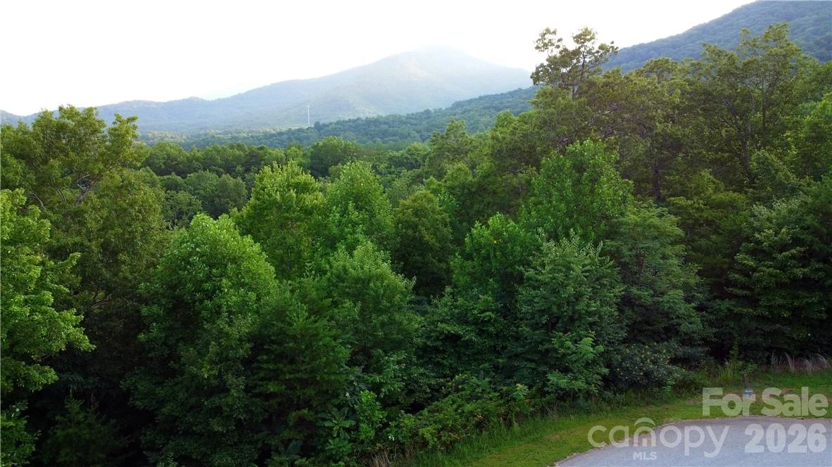 Lot 59 Bear Cliff Way - Photo 33