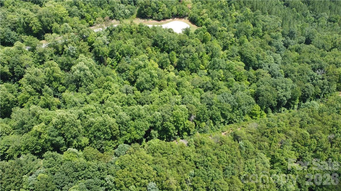 Lot 59 Bear Cliff Way - Photo 34