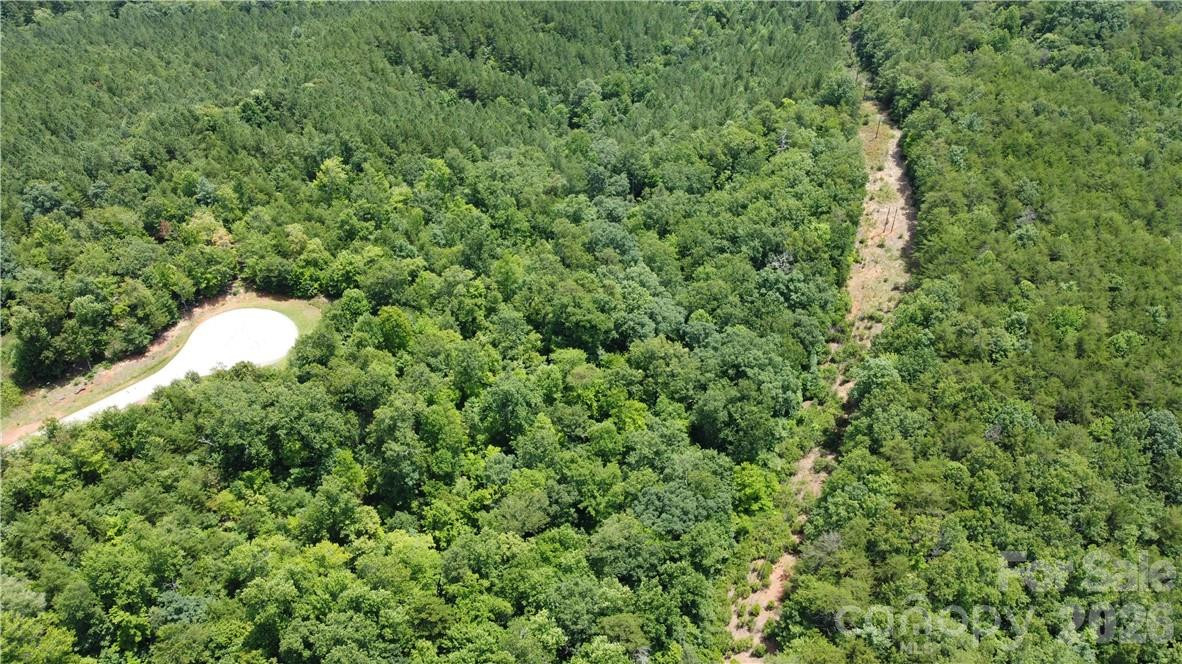 Lot 59 Bear Cliff Way - Photo 35