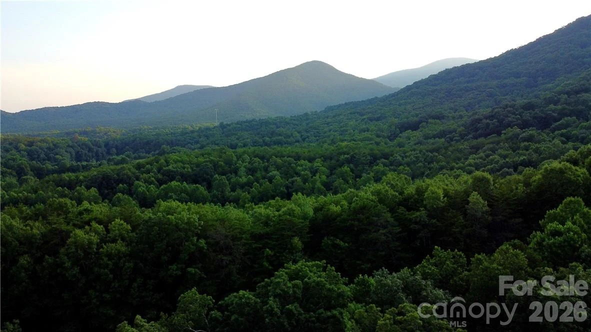 Lot 59 Bear Cliff Way - Photo 36