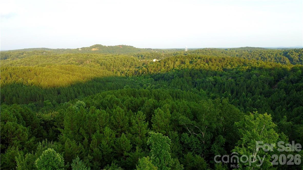 Lot 59 Bear Cliff Way - Photo 38