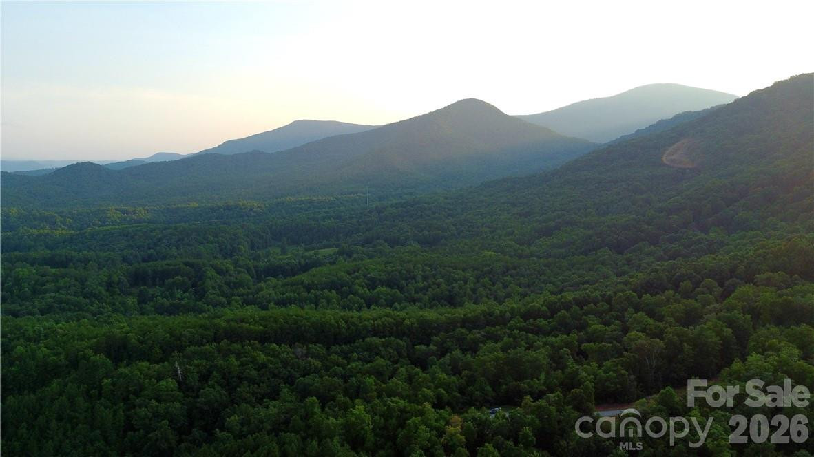 Lot 59 Bear Cliff Way - Photo 39