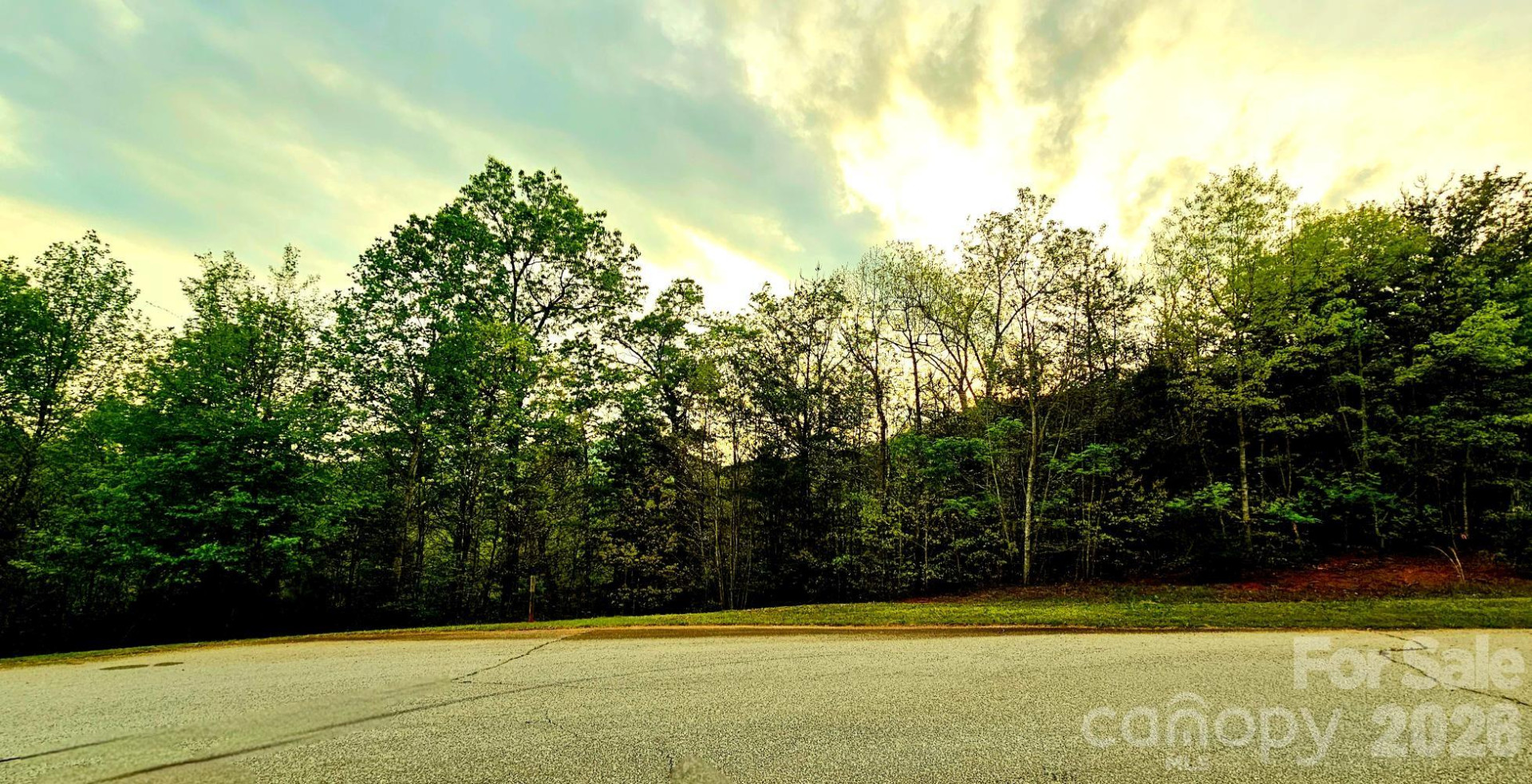 Lot 59 Bear Cliff Way - Photo 5