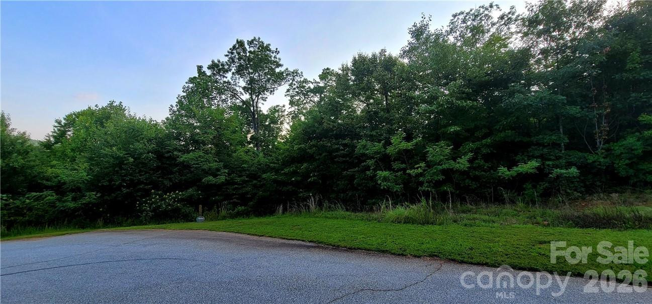 Lot 59 Bear Cliff Way - Photo 41