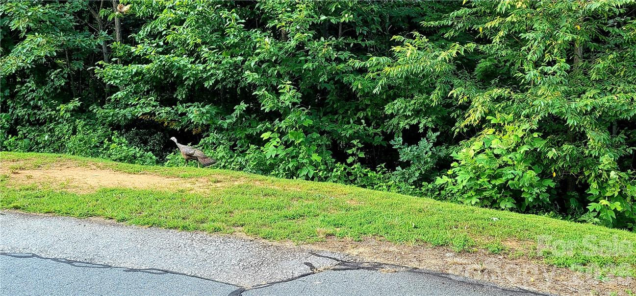 Lot 59 Bear Cliff Way - Photo 43