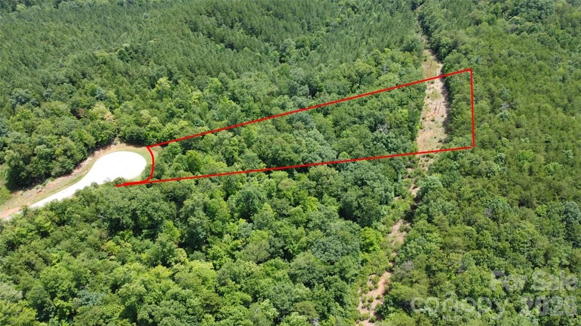 Lot 59 Bear Cliff Way - Photo 6