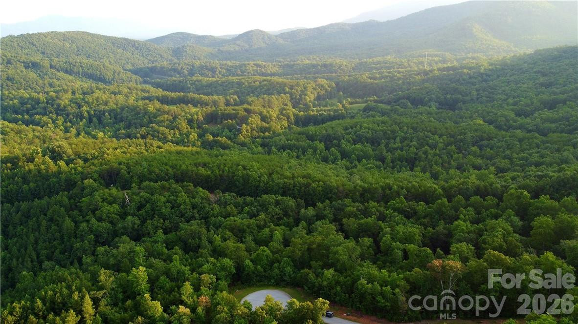 Lot 59 Bear Cliff Way - Photo 7