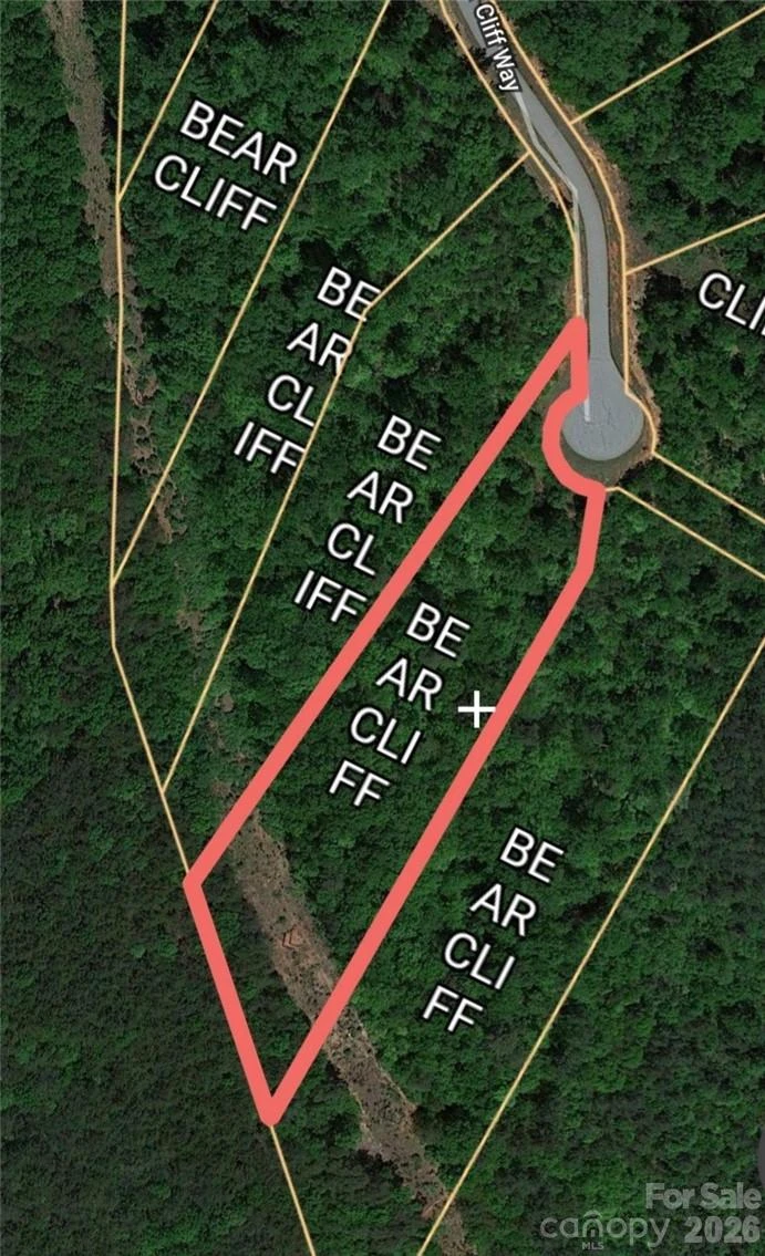 Lot 59 Bear Cliff Way - Photo 9