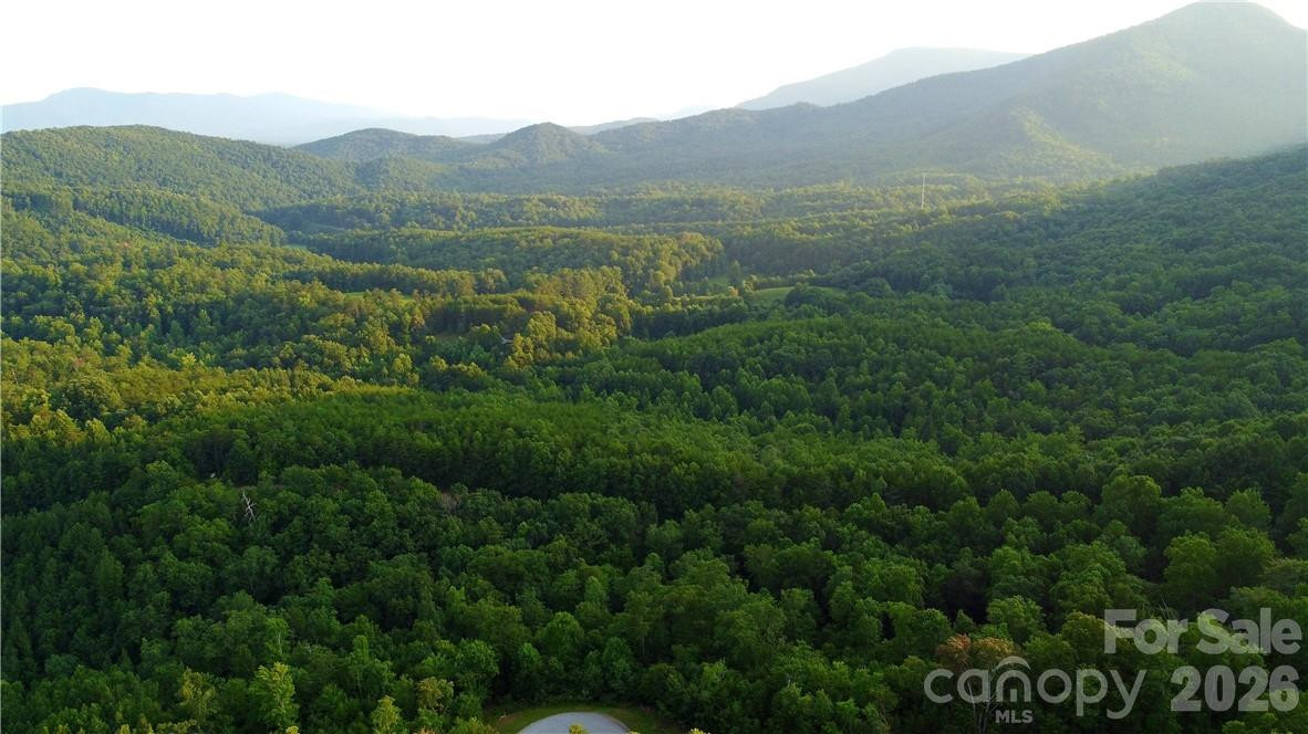 Lot 59 Bear Cliff Way - Photo 10