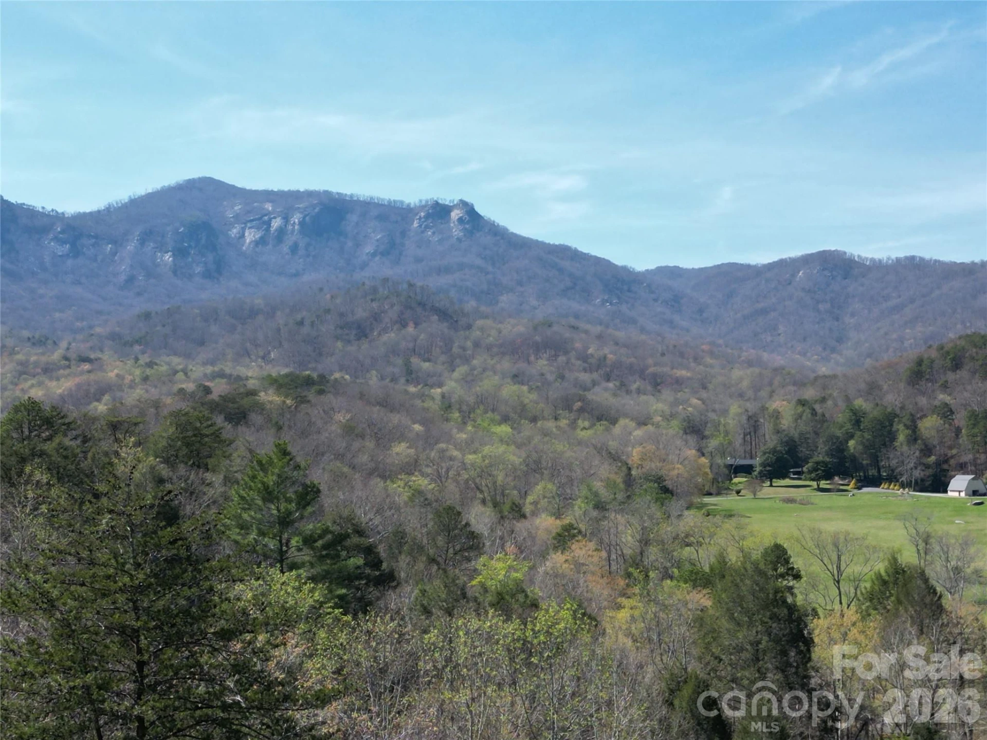 210 Fork Drive - Photo 5